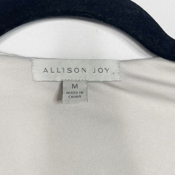 Allison Joy Medium M Light Gray Nina Matte Sequin V Neck Long Sleeve Blouse Top - Picture 7 of 11